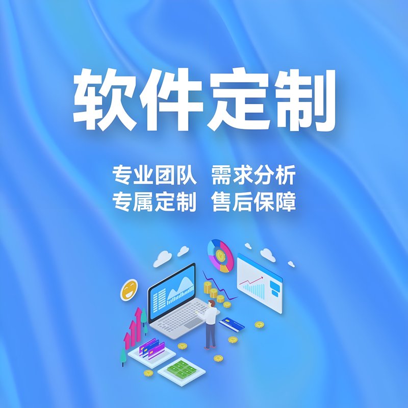 软件定制开发：企业信息化的加速器